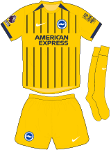 Brighton & Hove Albion Maillot Extérieur