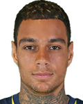 Gregory Van der Wiel